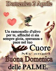 Cerco donna