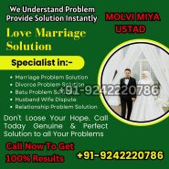 Love Problem Solution Baba IN Delhi +91 92422_20786