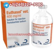 Telegrm+12672279080.Buy Pentobarbital Sodium 400Mg/Ml Injection In Napoli, Milan, Venice And Rome Italy