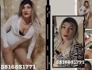 🐷🐷 MONCALIERI 🐷BELLA TRANS, BASTA FREGATURA SONO FOTO SELFIE COSI VEDI, COSI TROVA, VIENI A TROVARMI….🐷