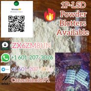 Alprazolam, Threema ID_ZX6ZM8UN, eutylone, etizolam, Bromazolam, protonitazene, isotonitazene for sale
