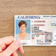 ID/Passport/License/Diploma/Certificates/TOEFL/Visa