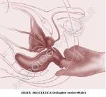 #massaggioprostatico  #massaggiatriceitaliana  #stimolazionedellaprostata  #massaggiatricematura  #massaggioTorino  # massaggiatricedominante  #clisterecamomillaTorino. #DonnadominanteTorino  #fertishTorino