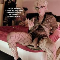 Travsex Transex Shemale Ladyboy Crossdresser Drag-Queen 