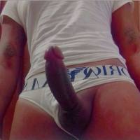 PER POCHI GIORNI A BERGAMO🍆💦█▬█⓿▀█▀🍆💦TORO LATINO BEN DOTATO SBATTITORE DI CULO E GOLA🍆💦 █▬█⓿▀█▀🍆💦
