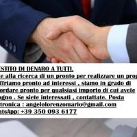 PRONTO DI  A TUTTI. WhatsApp: +393500936177