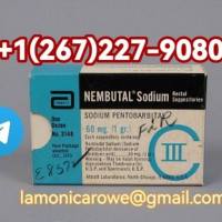 Telegrm+12672279080.Buy Pentobarbital Sodium 400Mg/Ml Injection In Napoli, Milan, Venice And Rome Italy