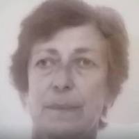 Buongiorno signore e signora, offriamo una donazione speciale per le persone serie che accettano i nostri principi, solo per evitare furti.