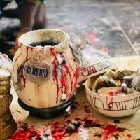 I WANT TO JOIN OCCULT SOCIETY FOR MONEY RITUALS CALL +2349025235625