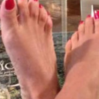 Troia lurida