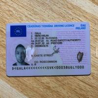 Führerschein, Personalausweis, Original Datenbank registrierter Reisepass, biometrischer Reisepass, Führungszeugnis, behördliches Führungszeugnis, öst