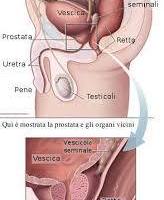 DIVINA DONNA MATURA ESPERTA IN MANIPOLAZIONI DEL TUO EROS....ACCOLGO DISTINTI MASCHIETTI INTERESSATI A RICEVERE UN DOLCE MASSAGGIO SENSUALE.