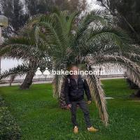 SOLO PER CONOSCENTE 🐷🐷 Latino focoso appassionato sempre pronto a soddisfare i tuoi desideri, sono qui per te che gi&agrave; sai come posso farti divertire