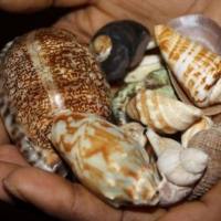  + 256702530886Penis enlargement spells that works immediately+ 256702530886 Private Spells EXTREME DJINN INVOKED PENIS ENLARGEMENT SPELL (WORKS) Irel