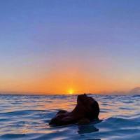  Cosenza Seguimi Dappertutto & Ovunque!!Seguimi Sul Mio Profilo Instagram Cercandomi Scrivendo: MartinaMartiniRoma2 - Su Facebook Cercami Come : Marti