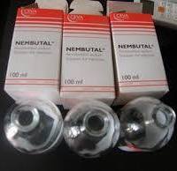 NEMBUTAL (Pentobarbital) rallenta l'attività del cervello e del sistema nervoso. Il pentobarbital è usato a breve termine per trattare l’insonnia.