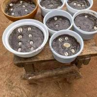 GUARANTEED LOVE SPELLS TO GET BACK YOUR EX LOVER IN 48 HOURS ☎ @ +27-73-479-3788 