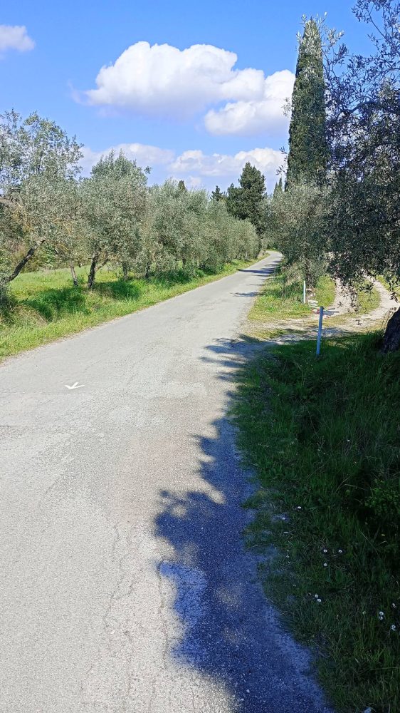 Massaggiatore sportivo 