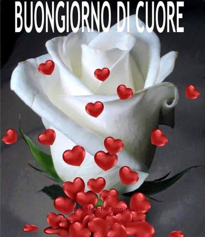 ITALIANO DI ROMA  CERCO TRANS  MAX SERIETÀ 