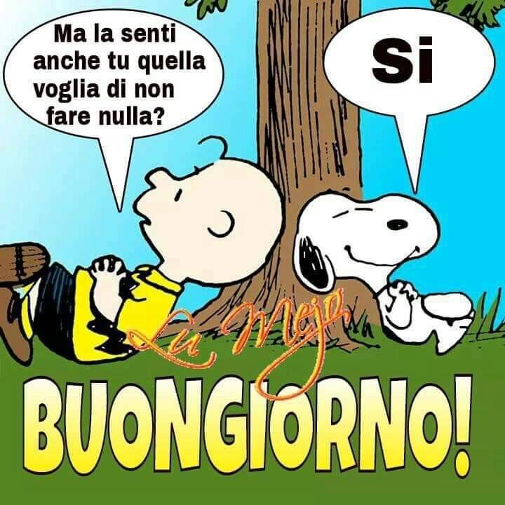 Persona estremamente semplice, umile, educata e rispettosa, di sani valori e principi 