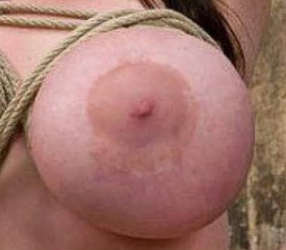 VIA DI MALAGROTTA 186 TRANS ITALIANA SCHIAVA SOSTA IN MACCINA DALLE 12/17 VICINO AL DISTRIB.IP 6 DI TETTE CON 22CM TROIA PUTTANA AMA ESSERE SOTTOMESSA