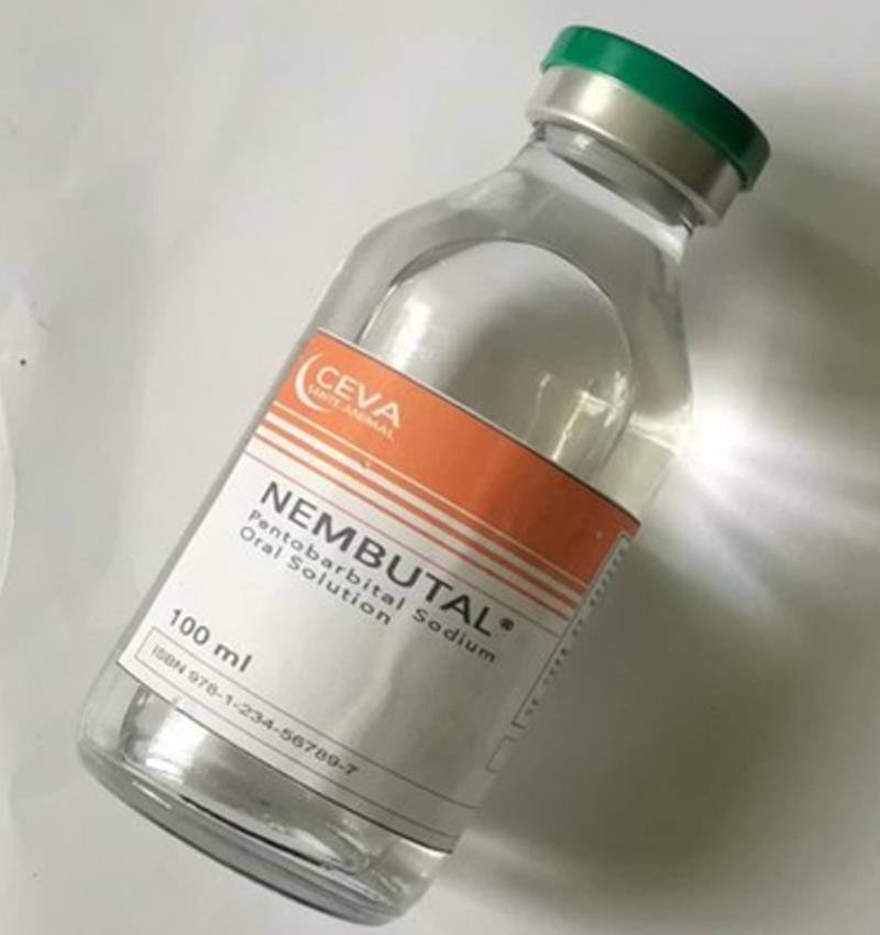 Acquista Nembutal, Adderall, Ketamina (WhatsApp: +33605811506)
