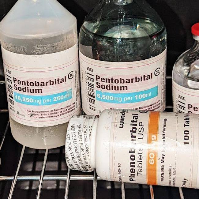 NEMBUTAL (Pentobarbital) rallenta l'attività del cervello e del sistema nervoso. Il pentobarbital è usato a breve termine per trattare l’insonnia.