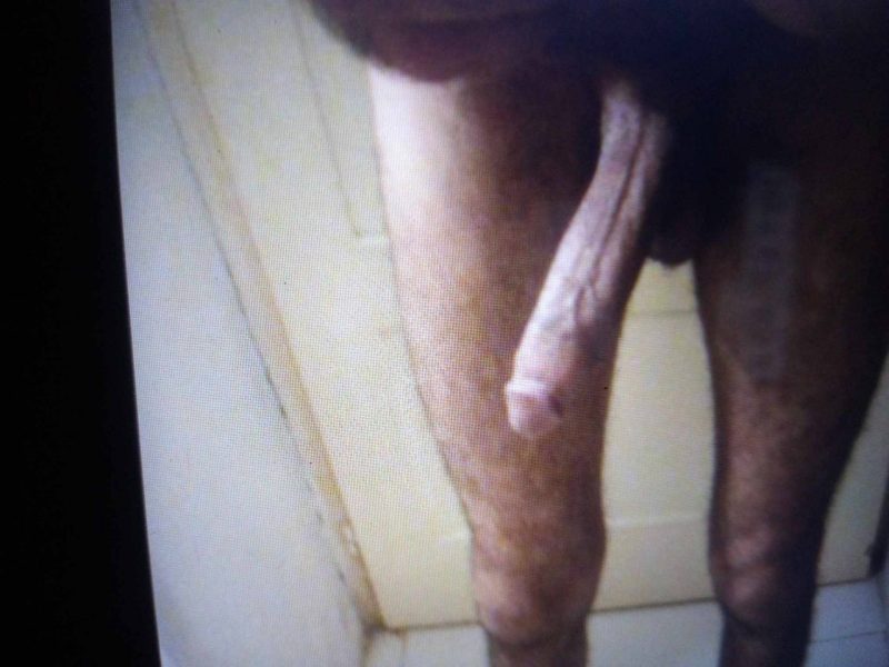Gigolo sono forte come un cavallo caldo cerco donna ho ragazza vera calda pulita sana che ti montò tutto giorno da avanti e dietro come una vacca p